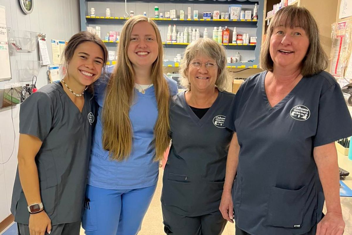 Chilhowee Veterinary Clinic Team