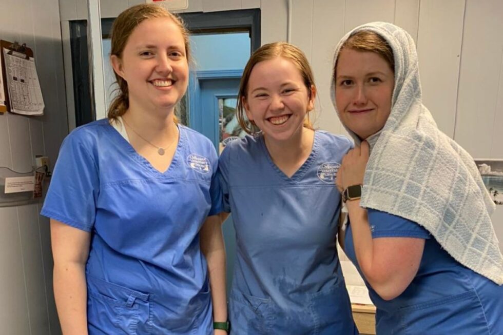 Best Vet Hospital In Maryville, TN Chilhowee Veterinary