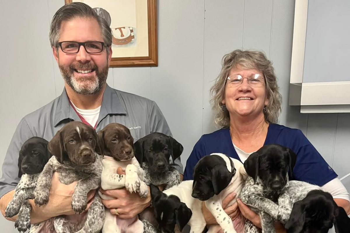 Chilhowee Veterinary Clinic - vets with puppies
